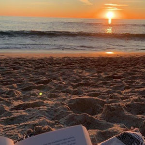 Meet your Posher, Dorothea